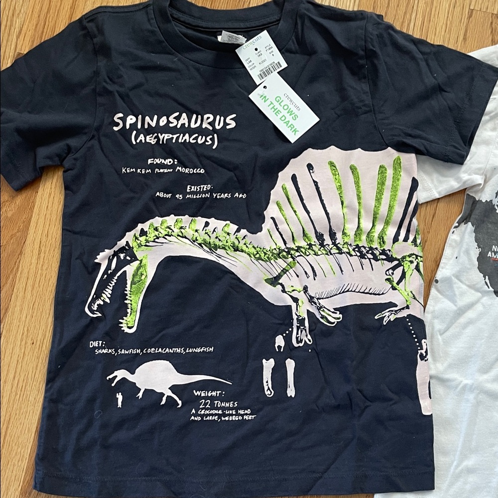 New Crewcuts - Spinosaurus & World Map Graphic Tees